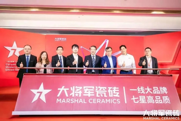大将军油漆，揭秘几线品牌背后的品质与口碑