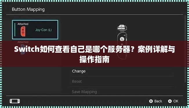 Switch如何查看自己是哪个服务器？案例详解与操作指南