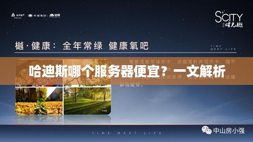 哈迪斯哪个服务器便宜？一文解析
