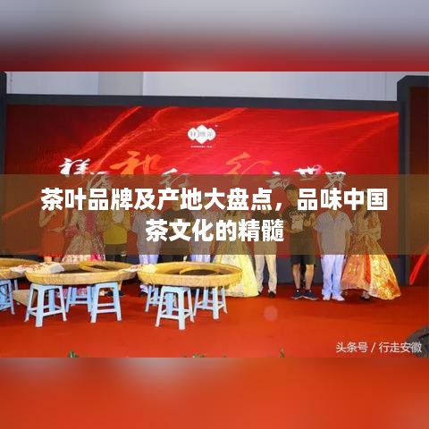 茶叶品牌及产地大盘点，品味中国茶文化的精髓