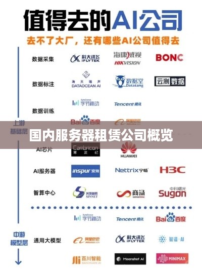 国内服务器租赁公司概览