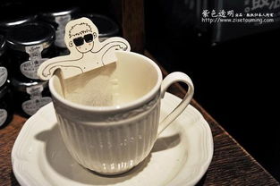 厦门茶叶品牌盘点，品味闽南茶香，探寻地方特色