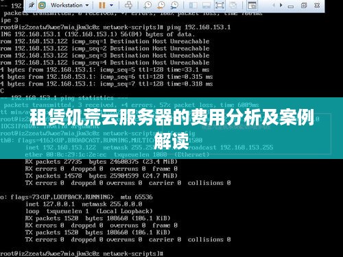 租赁饥荒云服务器的费用分析及案例解读