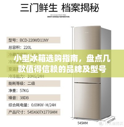 小型冰箱选购指南，盘点几款值得信赖的品牌及型号