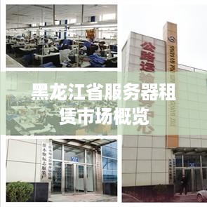 黑龙江省服务器租赁市场概览