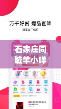 石家庄同城羊小咩便荔卡套出来，一站式购物体验新篇章