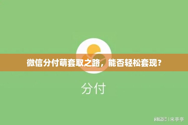 微信分付萌套取之路，能否轻松套现？