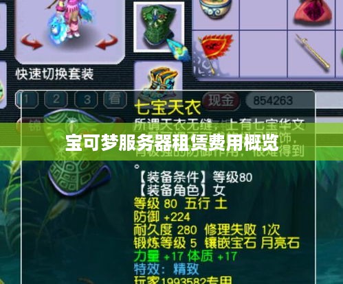 宝可梦服务器租赁费用概览