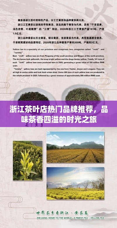 浙江茶叶店热门品牌推荐，品味茶香四溢的时光之旅