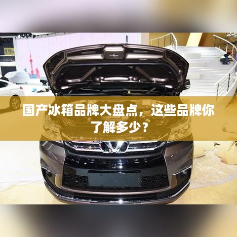 国产冰箱品牌大盘点，这些品牌你了解多少？