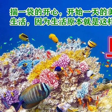 盘点2023年度最受欢迎的传统甜点蛋糕品牌排行榜