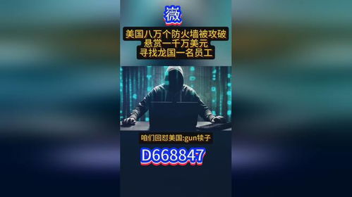 黑客24小时在线接单服务揭秘，高效与安全的结合