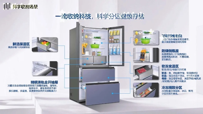 揭秘张国伟的冰箱品牌选择，品质与时尚的完美结合