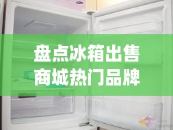 盘点冰箱出售商城热门品牌，选购指南一网打尽！