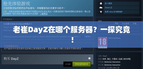 老崔DayZ在哪个服务器？一探究竟！