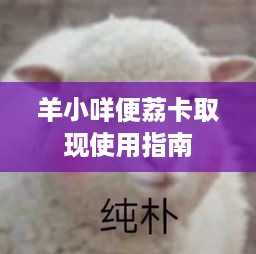 羊小咩便荔卡取现使用指南