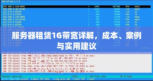 服务器租赁1G带宽详解，成本、案例与实用建议