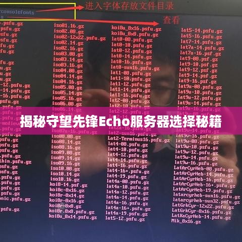 揭秘守望先锋Echo服务器选择秘籍
