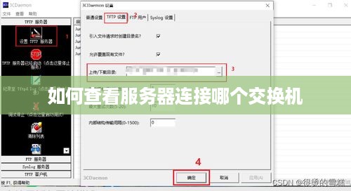 如何查看服务器连接哪个交换机