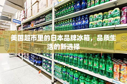 美国超市里的日本品牌冰箱，品质生活的新选择