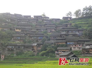 城步苗族自治县服务器租赁服务概览