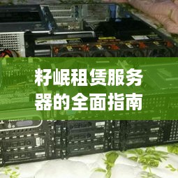 籽岷租赁服务器的全面指南