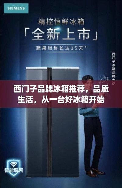 西门子品牌冰箱推荐，品质生活，从一台好冰箱开始