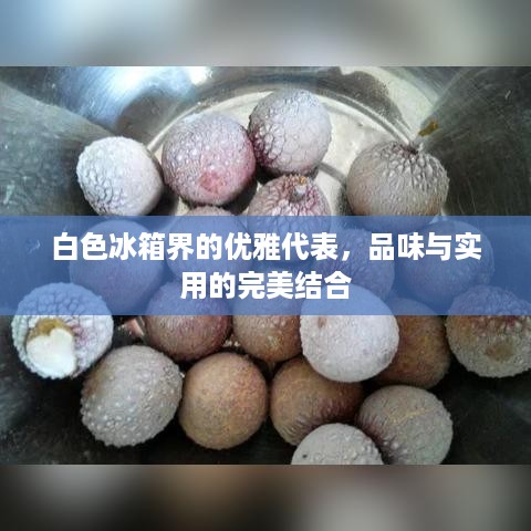 白色冰箱界的优雅代表，品味与实用的完美结合