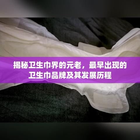 揭秘卫生巾界的元老，最早出现的卫生巾品牌及其发展历程