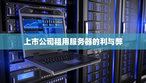 上市公司租用服务器的利与弊