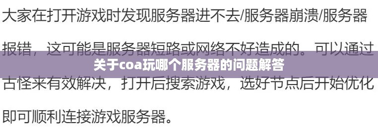 关于coa玩哪个服务器的问题解答