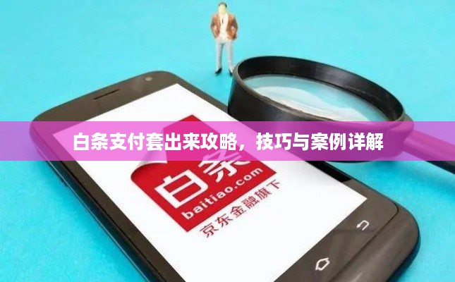 白条支付套出来攻略，技巧与案例详解