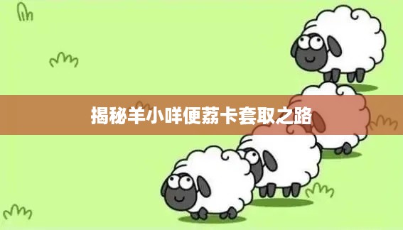 揭秘羊小咩便荔卡套取之路