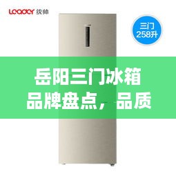 岳阳三门冰箱品牌盘点，品质生活从冷开始
