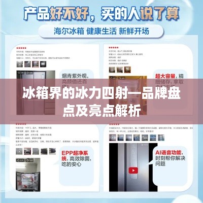 冰箱界的冰力四射—品牌盘点及亮点解析