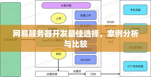 网易服务器开发最佳选择，案例分析与比较