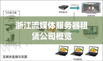 浙江流媒体服务器租赁公司概览