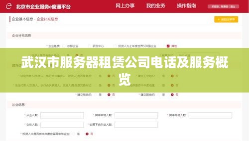 武汉市服务器租赁公司电话及服务概览