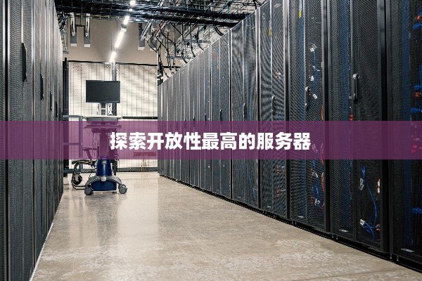 探索开放性最高的服务器