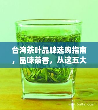 台湾茶叶品牌选购指南，品味茶香，从这五大品牌开始