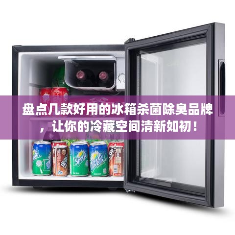 盘点几款好用的冰箱杀菌除臭品牌，让你的冷藏空间清新如初！