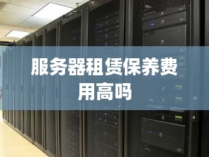 服务器租赁保养费用高吗
