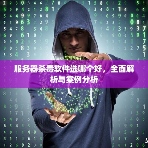 服务器杀毒软件选哪个好，全面解析与案例分析