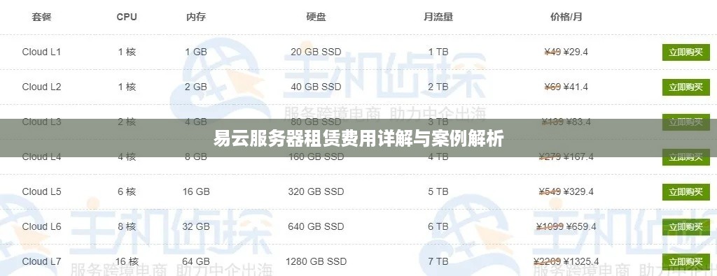 易云服务器租赁费用详解与案例解析
