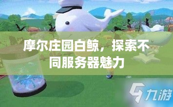 摩尔庄园白鲸，探索不同服务器魅力