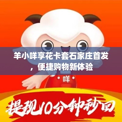 羊小咩享花卡套石家庄首发，便捷购物新体验