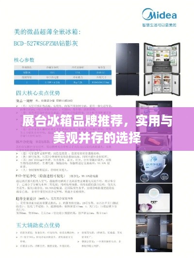 展台冰箱品牌推荐，实用与美观并存的选择
