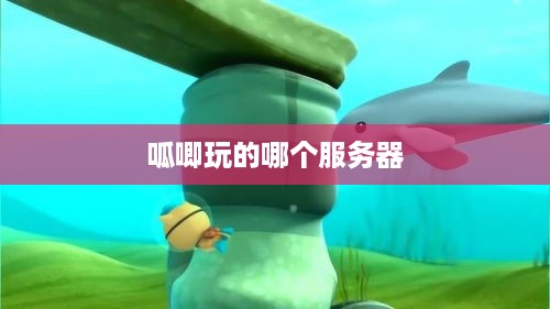 呱唧玩的哪个服务器