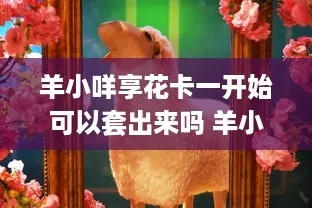 羊小咩享花卡套出来攻略