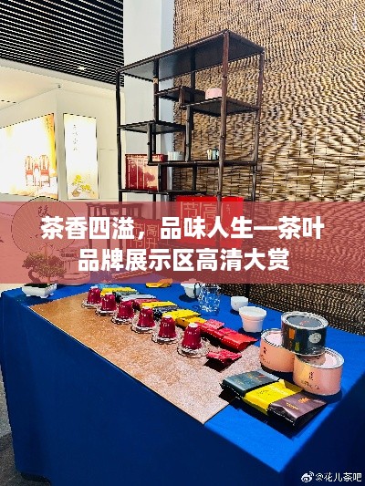 茶香四溢，品味人生—茶叶品牌展示区高清大赏